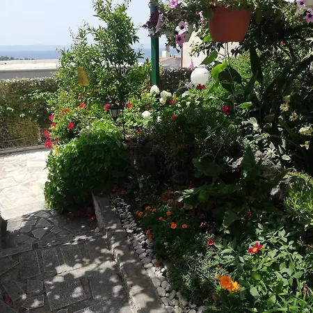 And With Parking Space - 6767 3* 马卡尔斯卡